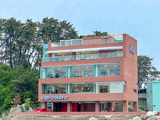 시랑이랑 사진