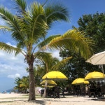 모두투어 아주항공여행사