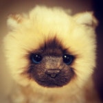 위더스 인터내셔널