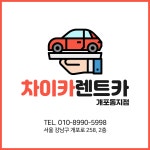 차이카렌트카 개포동지점