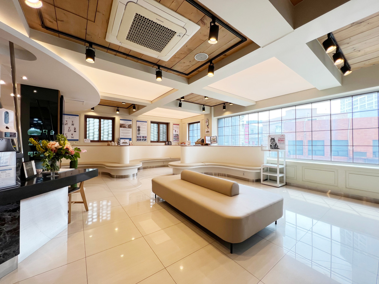 다솜고양이메디컬센터