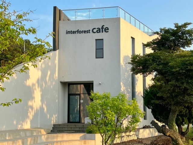 인터포레스트