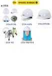 세이프랜드