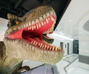 헨나호텔 서울명동