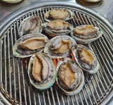 통통민물장어