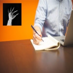 인스코손해사정