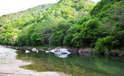 강변통나무펜션