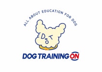 독트레이닝온