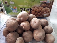 진이농원
