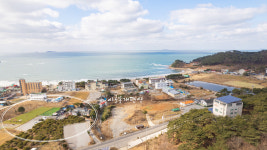 시골똥개 애견펜션