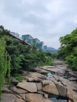 카페더스페이스