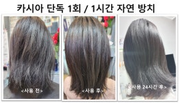 하라힐즈헤나. 탈모관리.두피케어