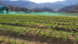 산들농장