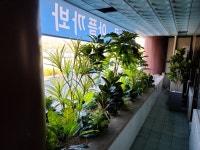 다섯가지약속치과의원