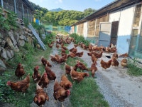 지리산백운농장