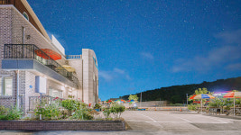 바다여행 애견동반 펜션