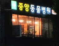 중앙동물병원