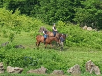 산록목장