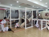 용인대홍성태권스쿨
