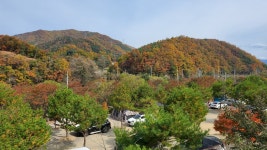 홍천와캠핑