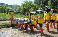 통영RCE세자트라숲