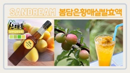 산드림365