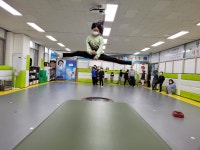 장안청룡태권도