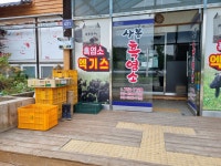 사봉흑염소