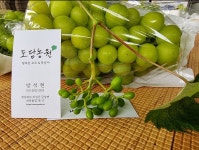 도담농원