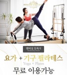 수트 피트니스 골드