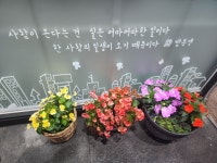 광교스타부동산공인중개사사무소