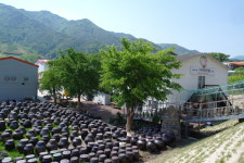 산청기능성콩 영농조합법인