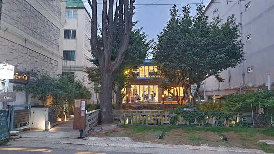 카페 더 큰나무 사진