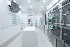 빌리브동물병원