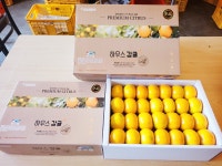 제주하영옵서농수산