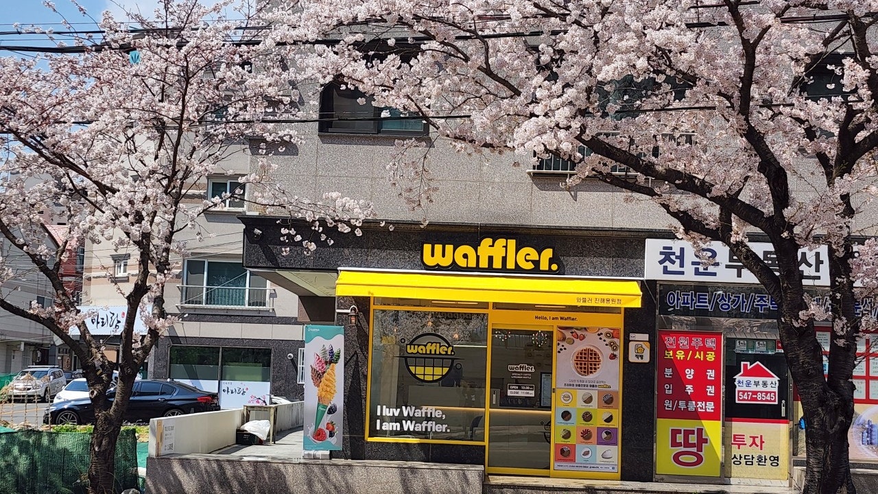 와플러 용원점