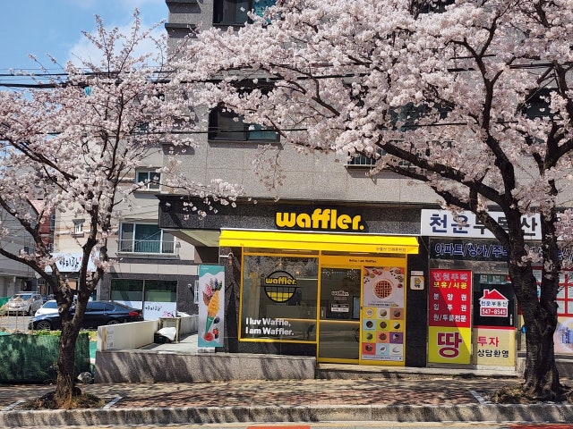 와플러 용원점