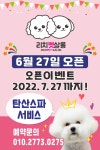 리치펫살롱