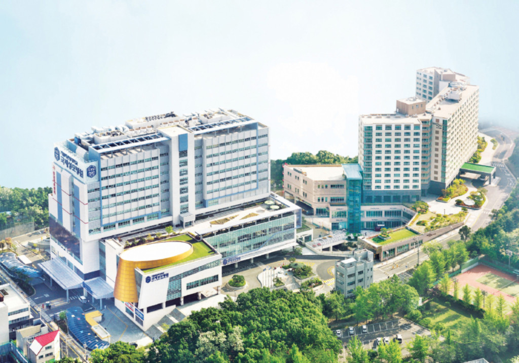 국제성모병원 자기소개서 항목 및 작성방법! / 2026 관동대학교국제성모병원 채용 자소서(졸업예정자)