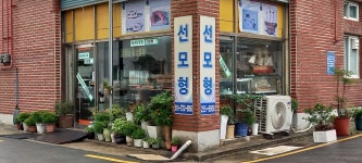 선모형
