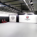 코브링야주짓수