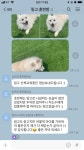 고쳐줄개 애견훈련소