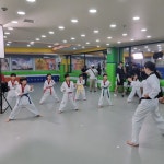 명성태권도