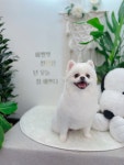 마벨펫 천안점