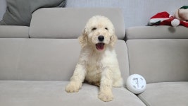 재리쥬작은동물원