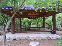 죽장 청정미나리 농장