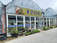 조은다육