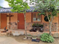 죽장 청정미나리 농장