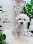 마벨펫 천안점