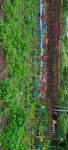 곰배령ArtHouse